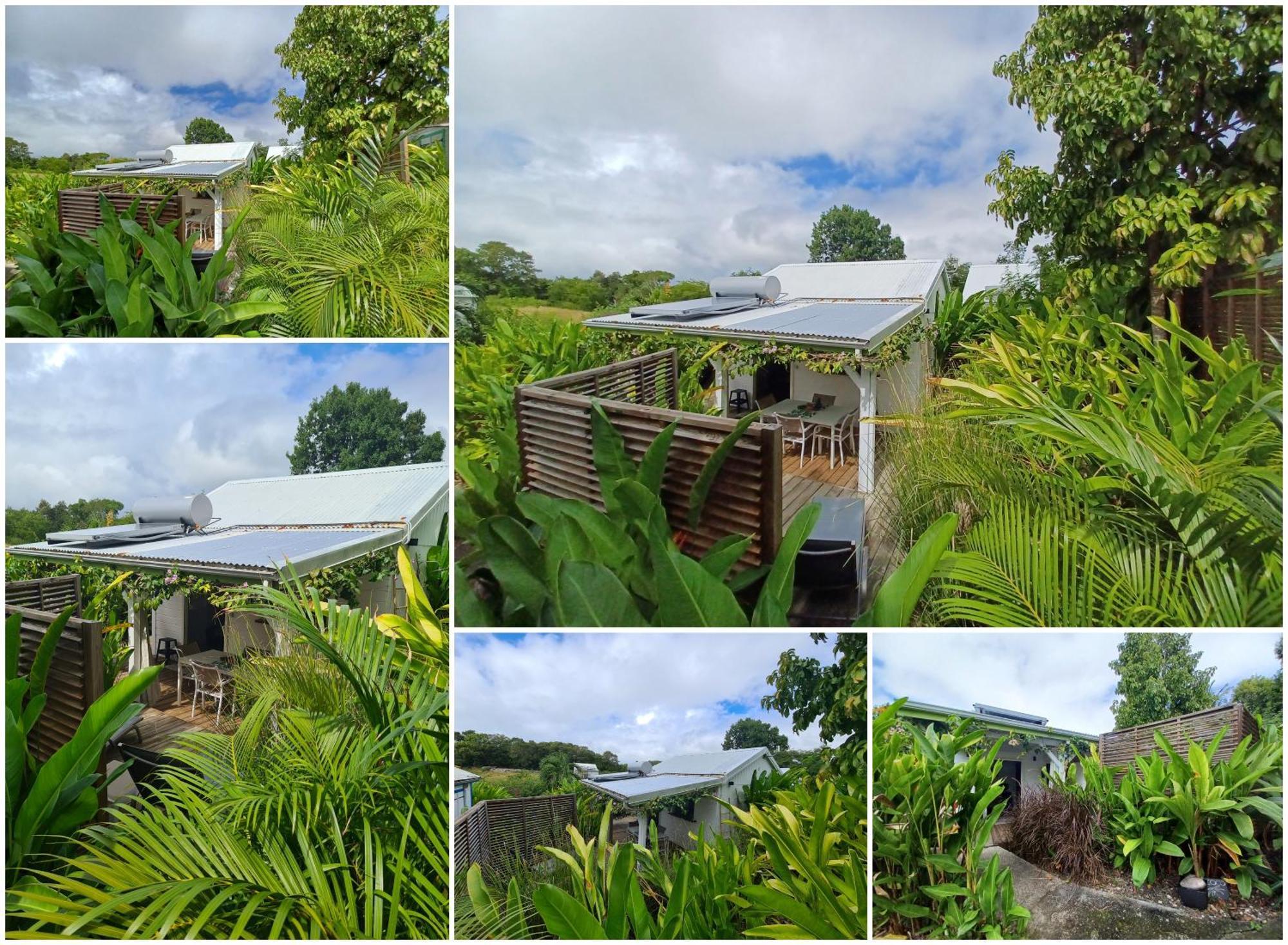 Charmant Bungalow Coco Sainte-Anne  Eksteriør billede